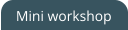 Mini workshop